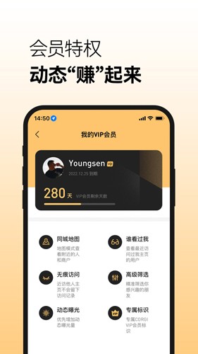 corgi交友软件