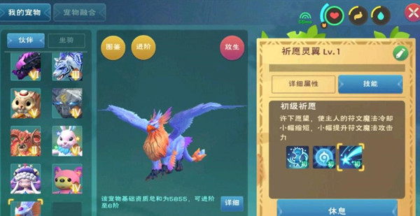 创造与魔法祈愿灵翼技能是什么？