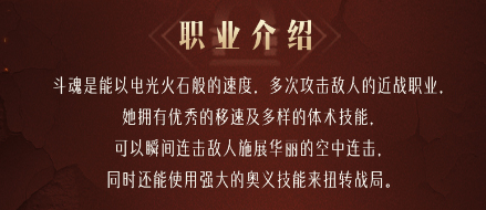 命运方舟斗魂职业信息