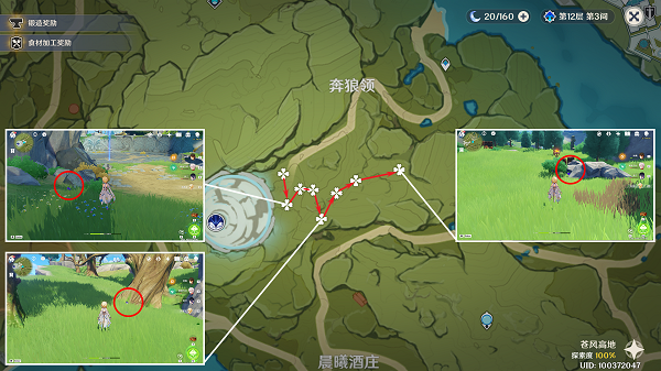 原神钩钩果采集路线图