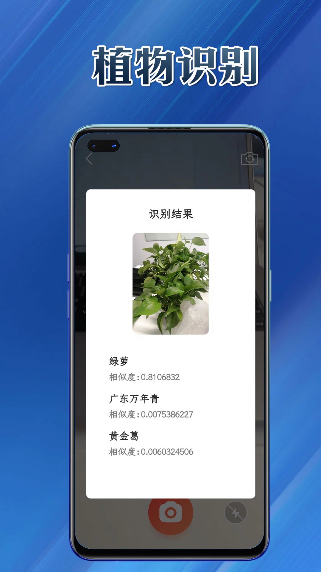 提效大师工具箱