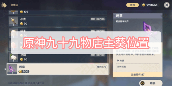 原神九十九物店主葵位置在什么位置