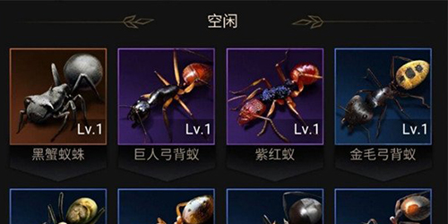 小小蚁国最强阵容怎么搭配