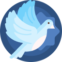 熊盒子新版本白鸽