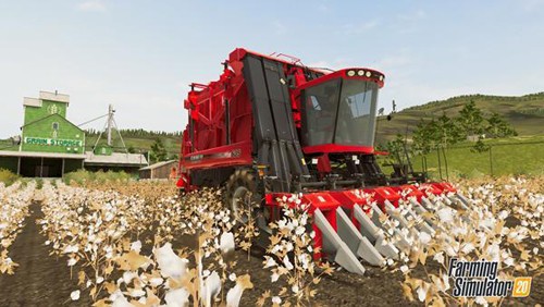 Farmrena