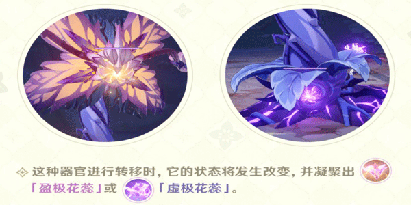原神3.0版本掣电树虚极花蕊具体要怎样打